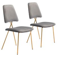 Chloe Dining Chair (Set of 2) Gray &amp; Gold