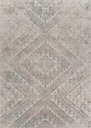 5’ x 7’ Gray Boho Chic Distressed Area Rug