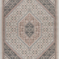 5’ x 7’ Gray and Blush Traditional Area Rug