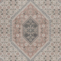 5’ x 7’ Gray and Blush Traditional Area Rug