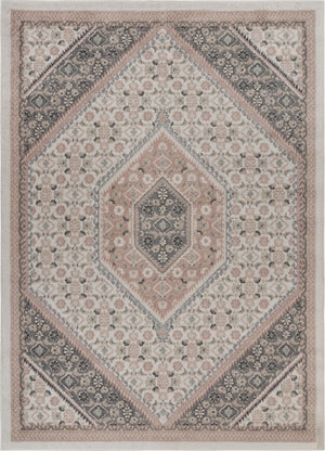 8’ x 10’ Gray and Blush Traditional Area Rug