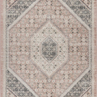 5’ x 7’ Gray and Soft Pink Traditional Area Rug