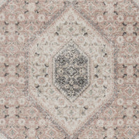 8’ x 10’ Gray and Soft Pink Traditional Area Rug