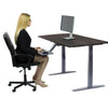 Premier 52" Silver Dual Motor Electric Office Adjustable Standing Desk