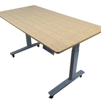 Gray and Natural Bamboo 45" Dual Motor Electric Office Adjustable Computer Desk