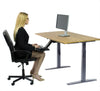 Gray and Natural Bamboo 45" Dual Motor Electric Office Adjustable Computer Desk