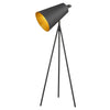 Faza 1-Light Matte Black Floor Lamp