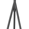 Faza 1-Light Matte Black Floor Lamp