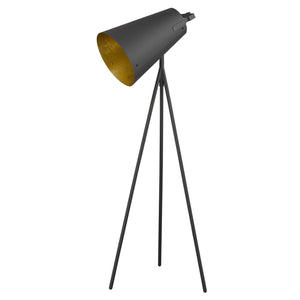 Faza 1-Light Matte Black Floor Lamp