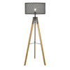 Capprice 1-Light Matte Black Floor Lamp