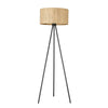 Lisbon 1-Light Matte Black Floor Lamp