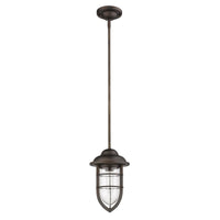 Dylan 1-Light Oil-Rubbed Bronze Convertible Mini-Pendant