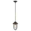 Dylan 1-Light Oil-Rubbed Bronze Convertible Mini-Pendant