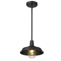 Burry 1-Light Matte Black Convertible Pendant