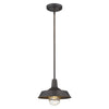 Burry 1-Light Oil-Rubbed Bronze Convertible Pendant