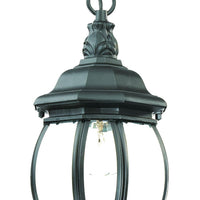 Chateau 1-Light Matte Black Hanging Light