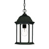 Madison 1-Light Matte Black Hanging Light