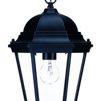 Richmond 1-Light Matte Black Hanging Light