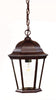 Richmond 1-Light Burled Walnut Hanging Light