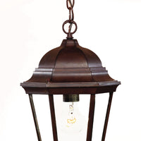 Richmond 1-Light Burled Walnut Hanging Light