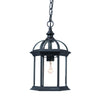 Dover 1-Light Matte Black Hanging Light