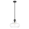 Torrel 1-Light Matte Black Pendant