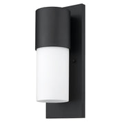 Cooper 1-Light Matte Black Wall Light