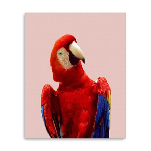 Vibrant And Vivid Bird Unframed Print Wall Art