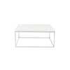 White and Chrome High Gloss Square Coffee Table