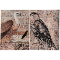 Set of 2 Antique Post Card Birds Wall Art