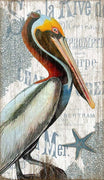 Colorful Pelican Wall Décor