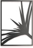 Set of Three Minimalist Modern Black Metal Tropical Wall Art