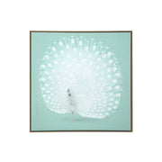 White Peacock on Green Gold Floater Frame Canvas Wall Art